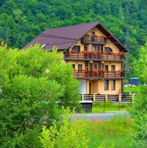 Casa Vadeanu